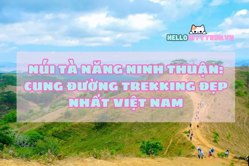 Núi Tà Năng Ninh Thuận: Cung Đường Trekking Đẹp Nhất Việt Nam