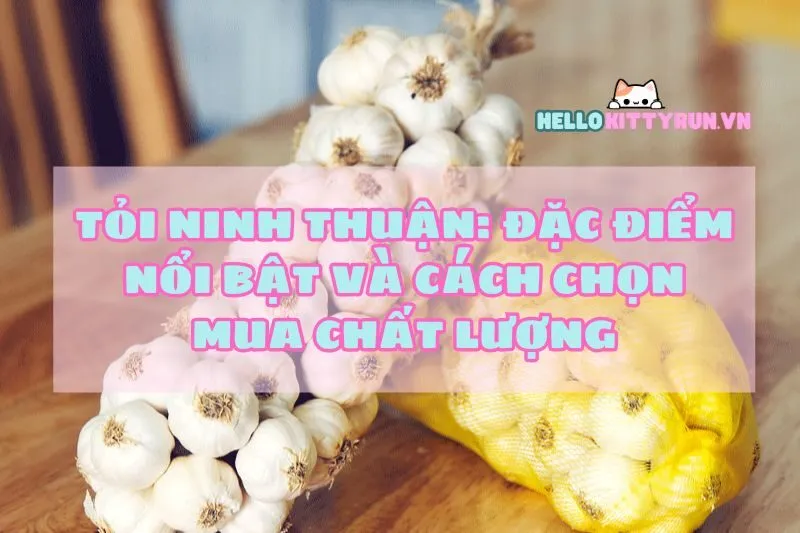 Tỏi Ninh Thuận: Đặc điểm nổi bật và cách chọn mua chất lượng