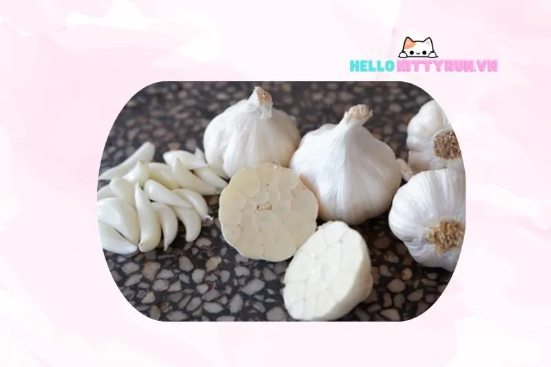 Tỏi Ninh Thuận - Đặc sản nổi tiếng